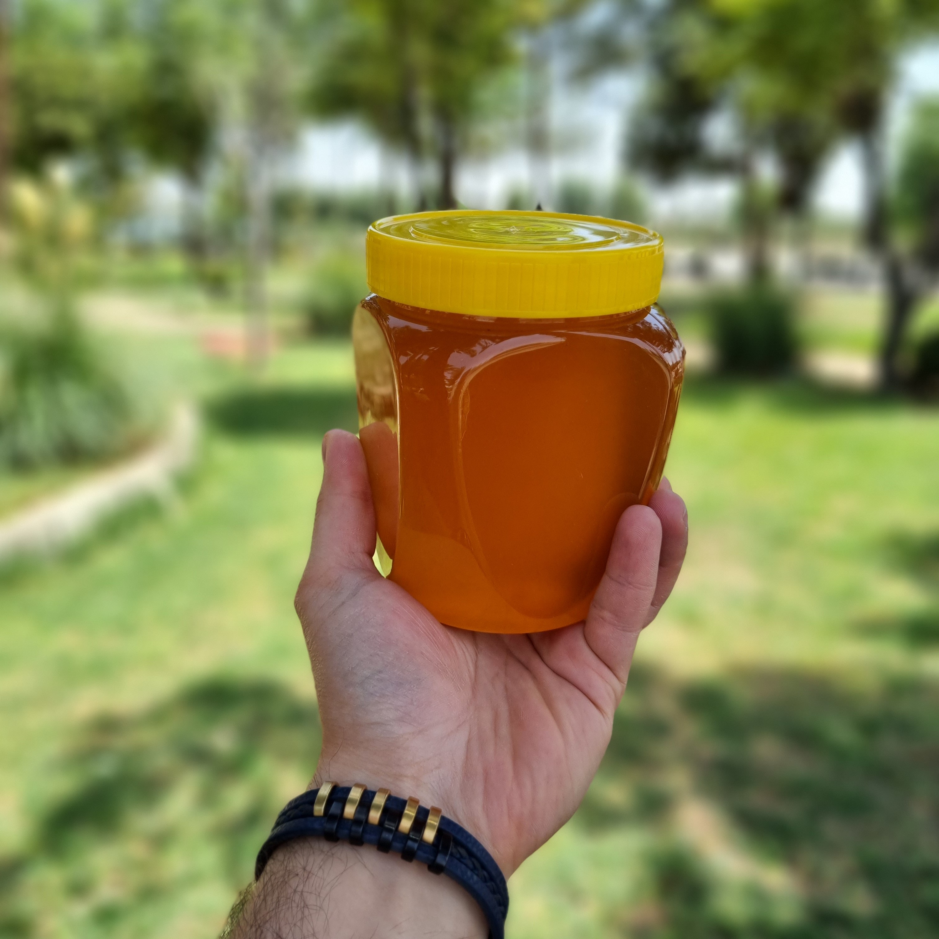عسل طبیعی ،مستقیم از زنبورداری