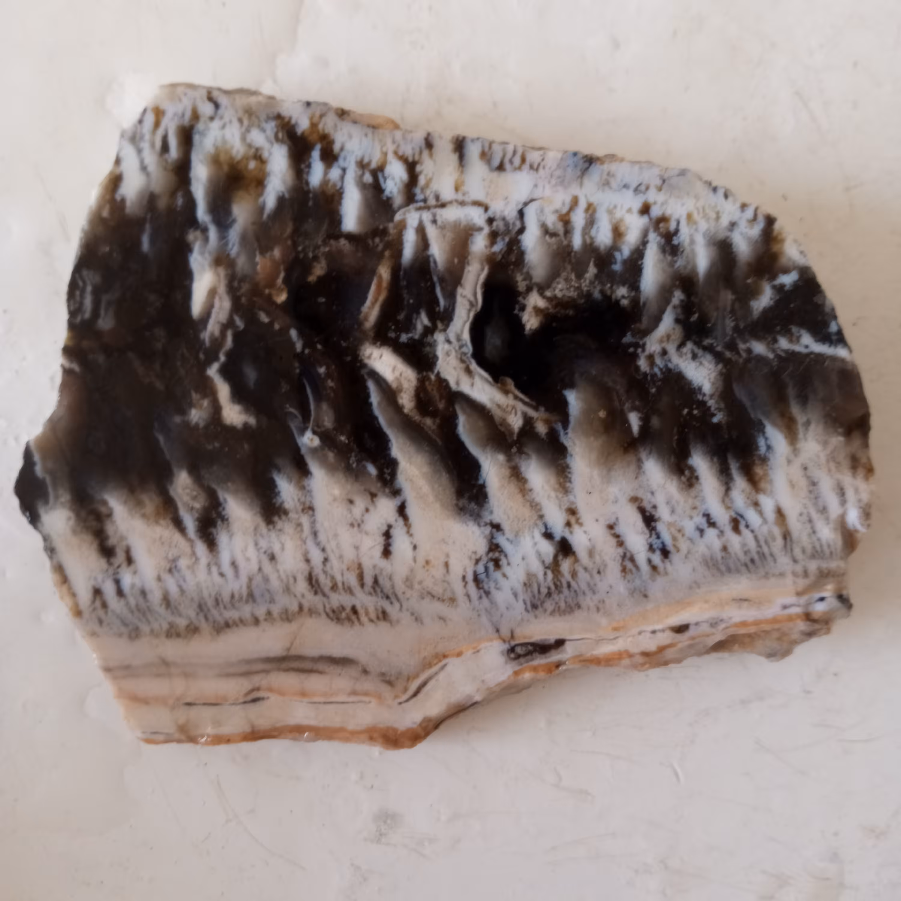 سنگ شجر جزع 