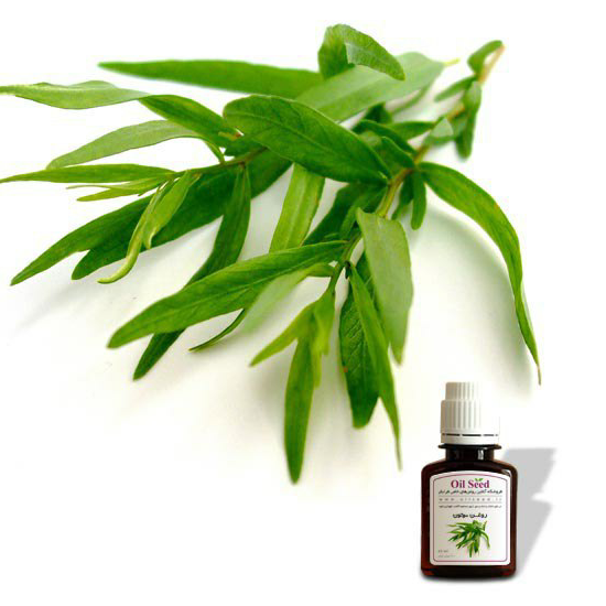 روغن ترخون 30 سی سی