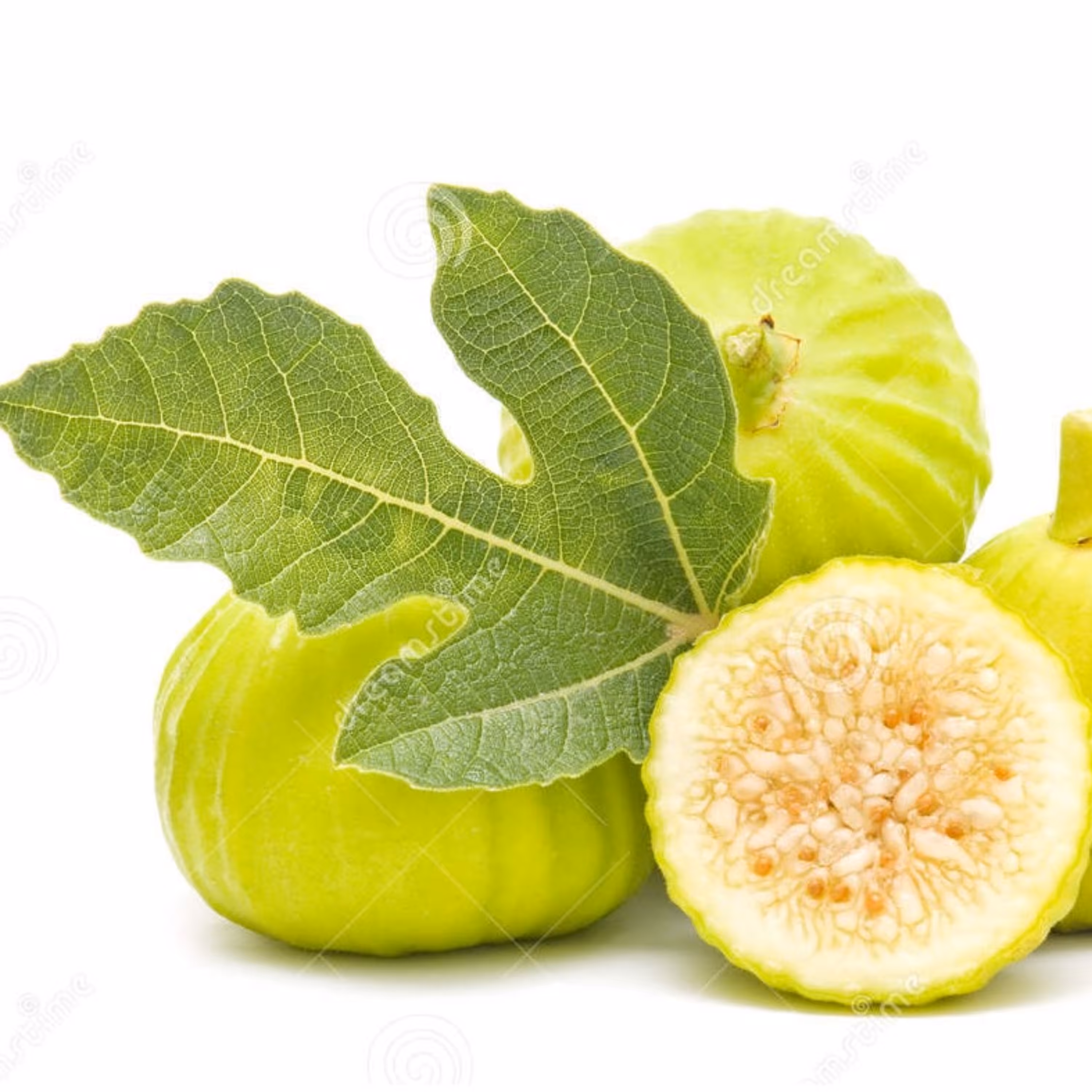 بذر انجیر زرد 10 عددی 