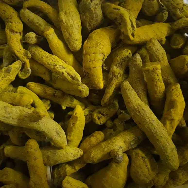 چوب زردچوبه