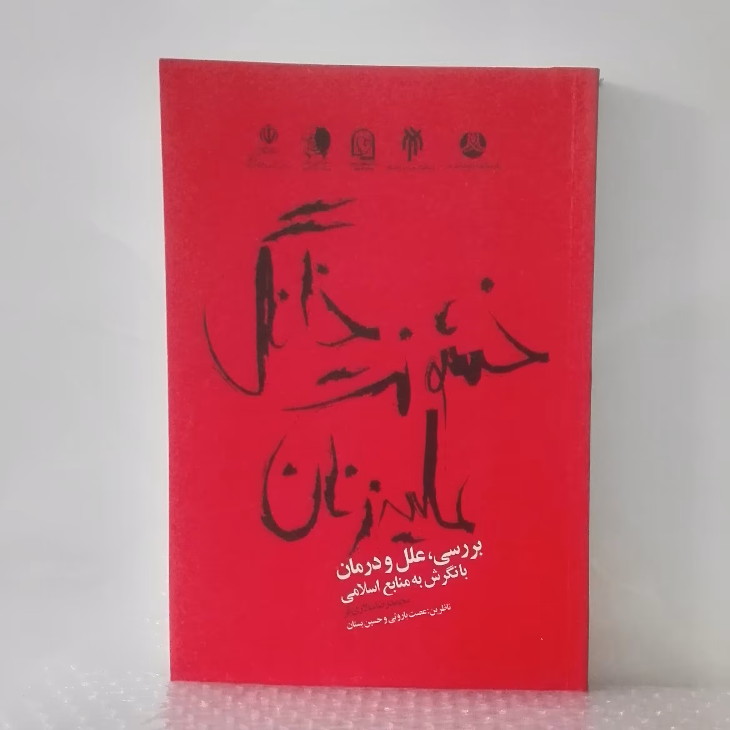 کتاب خشونت خانگی علیه زنان