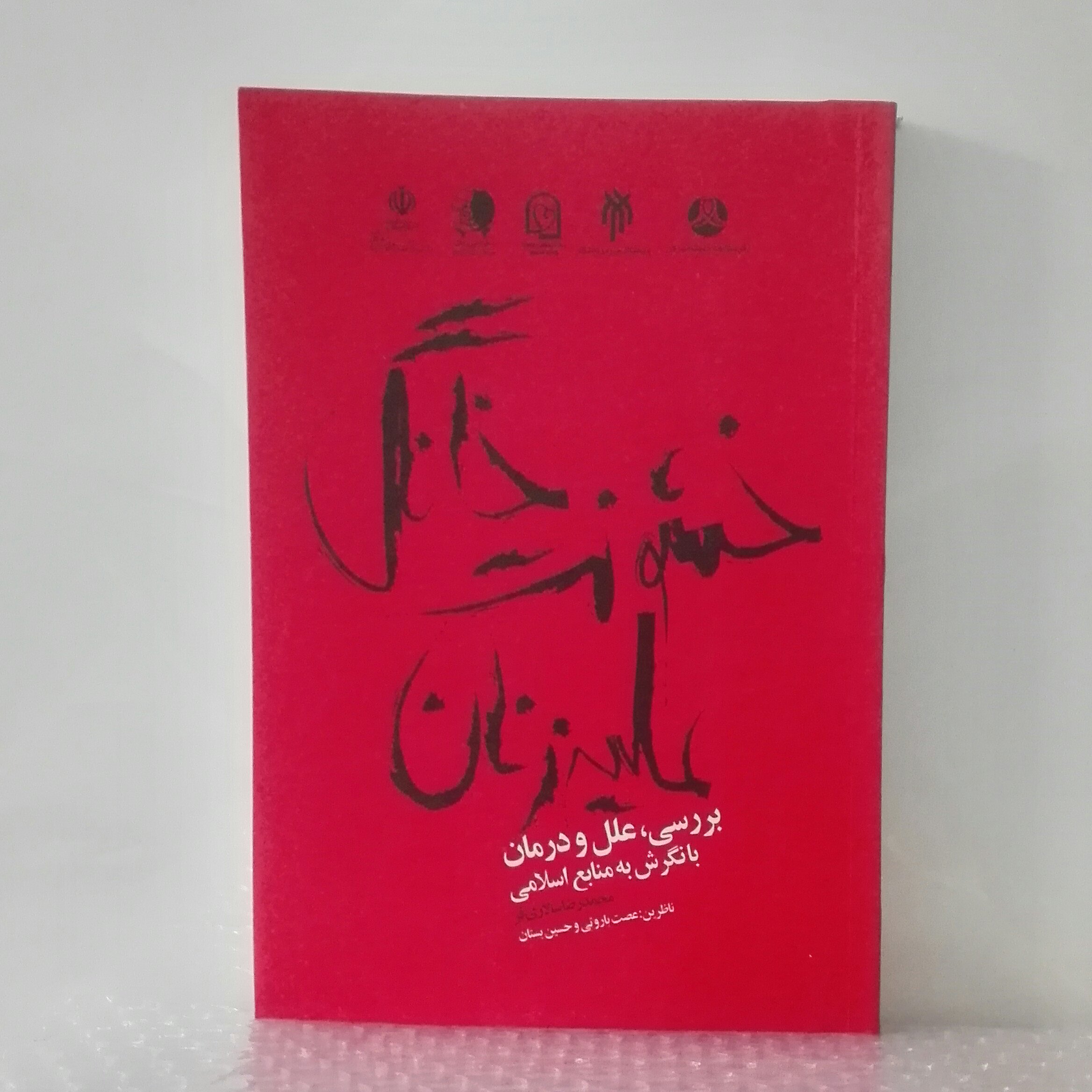 کتاب خشونت خانگی علیه زنان