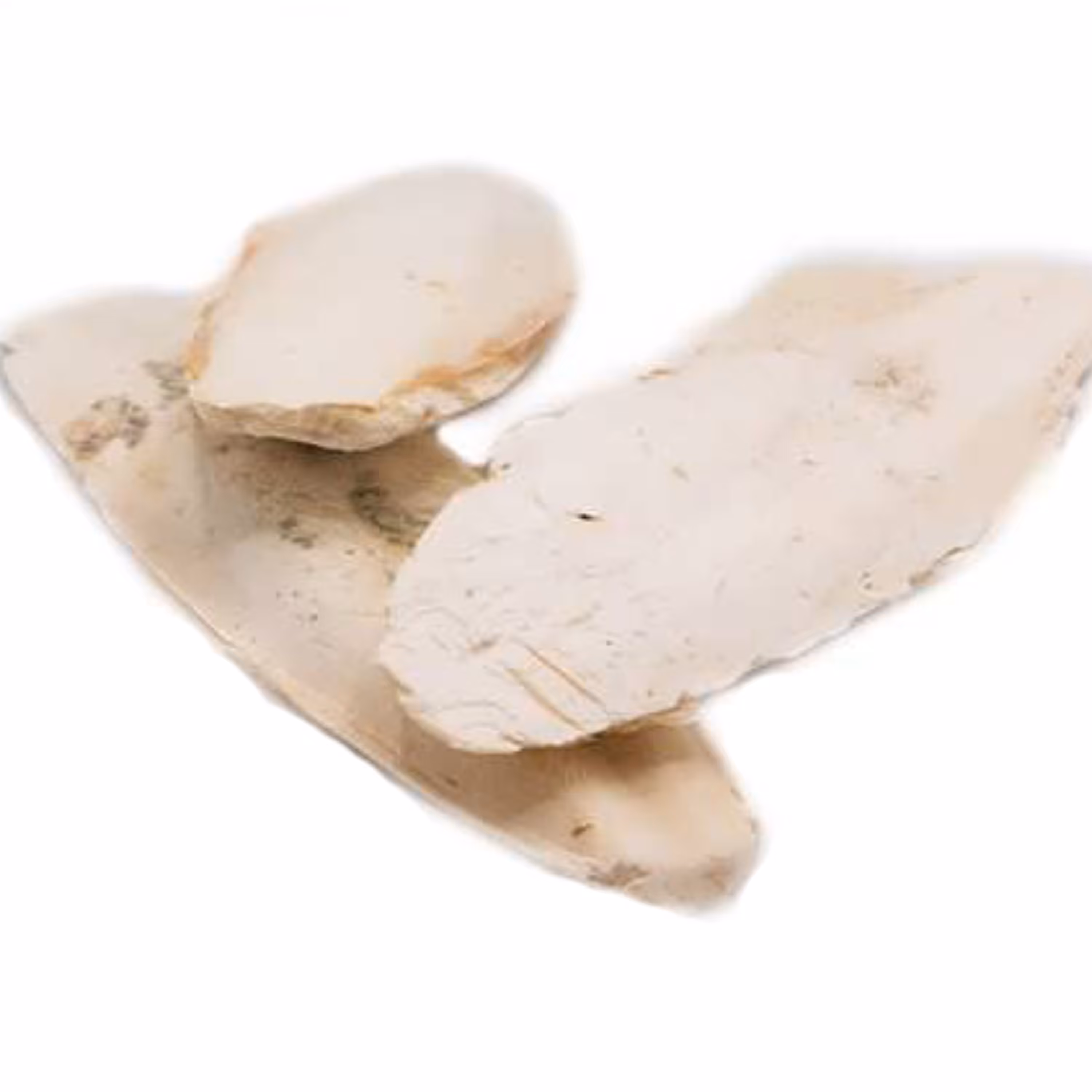 کف دریا ( 50 گرمی ) عطاری نیکو طبیب