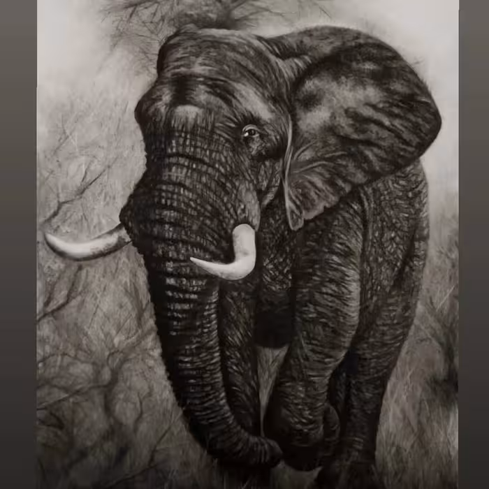 طراحی چهره پاستل سیاه قلم 