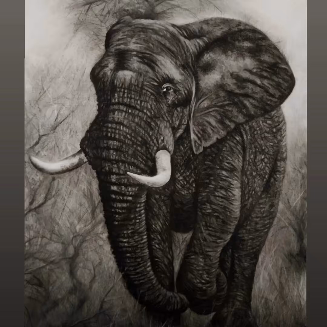 طراحی چهره پاستل سیاه قلم 