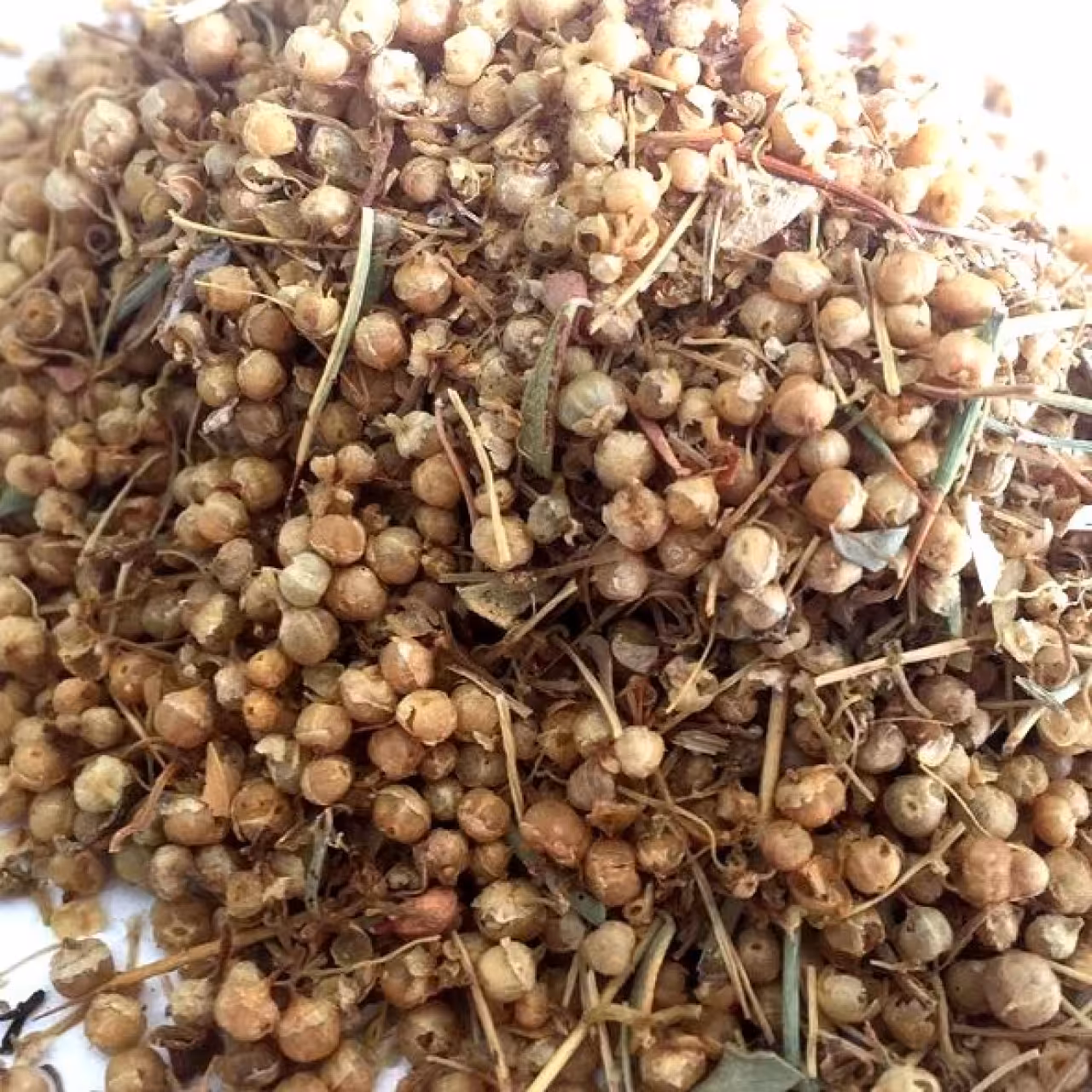 افتیمون 50گرمی (سودابر)