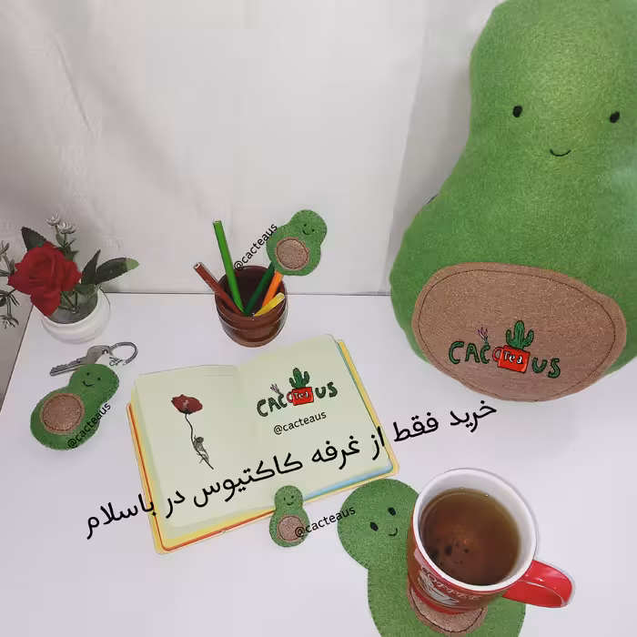 پک هدیه ست 5 تایی آووکادو نمدی هدیه اقتصادی دخترانه و پسرانه 