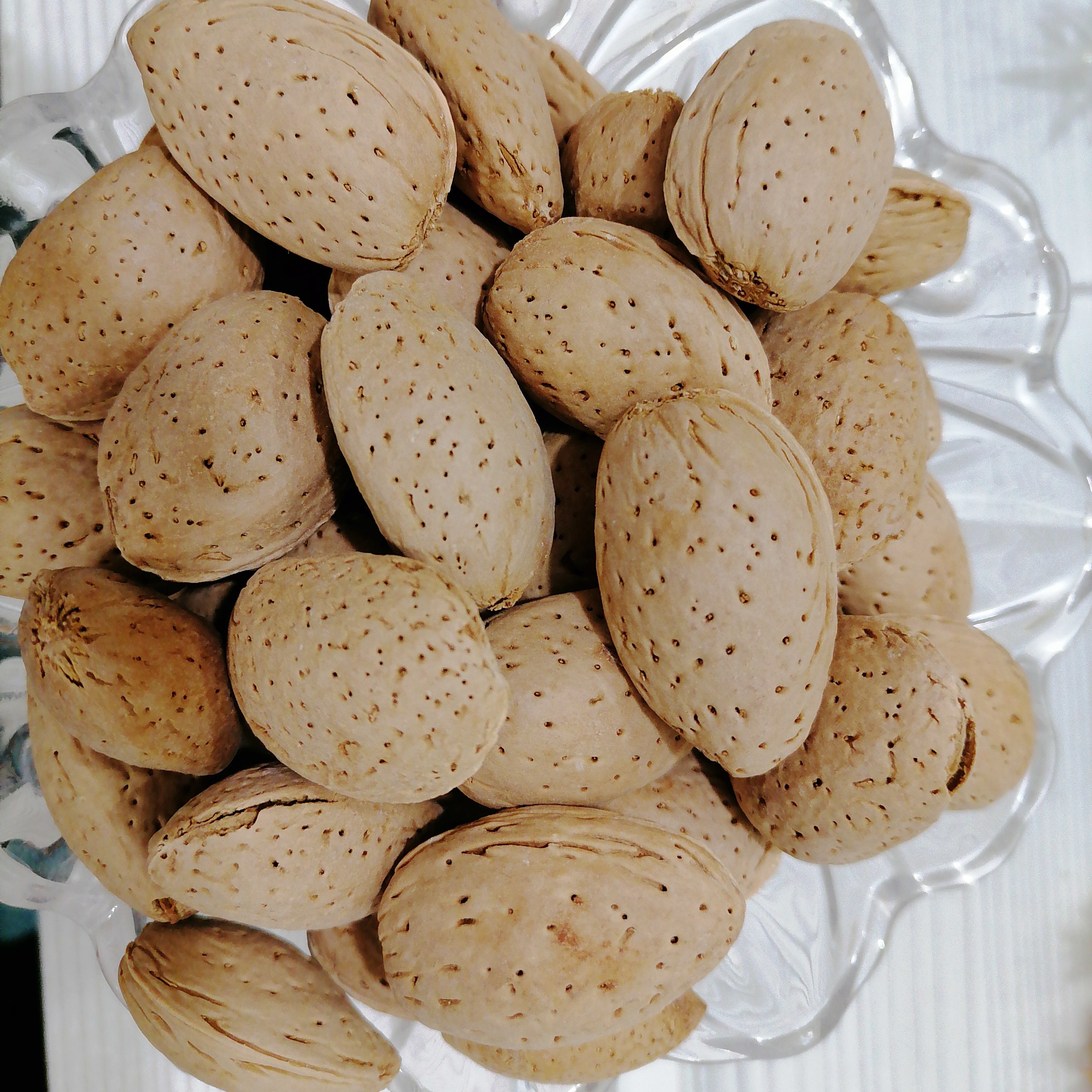 بادام سنگی امسالی بدون تلخی