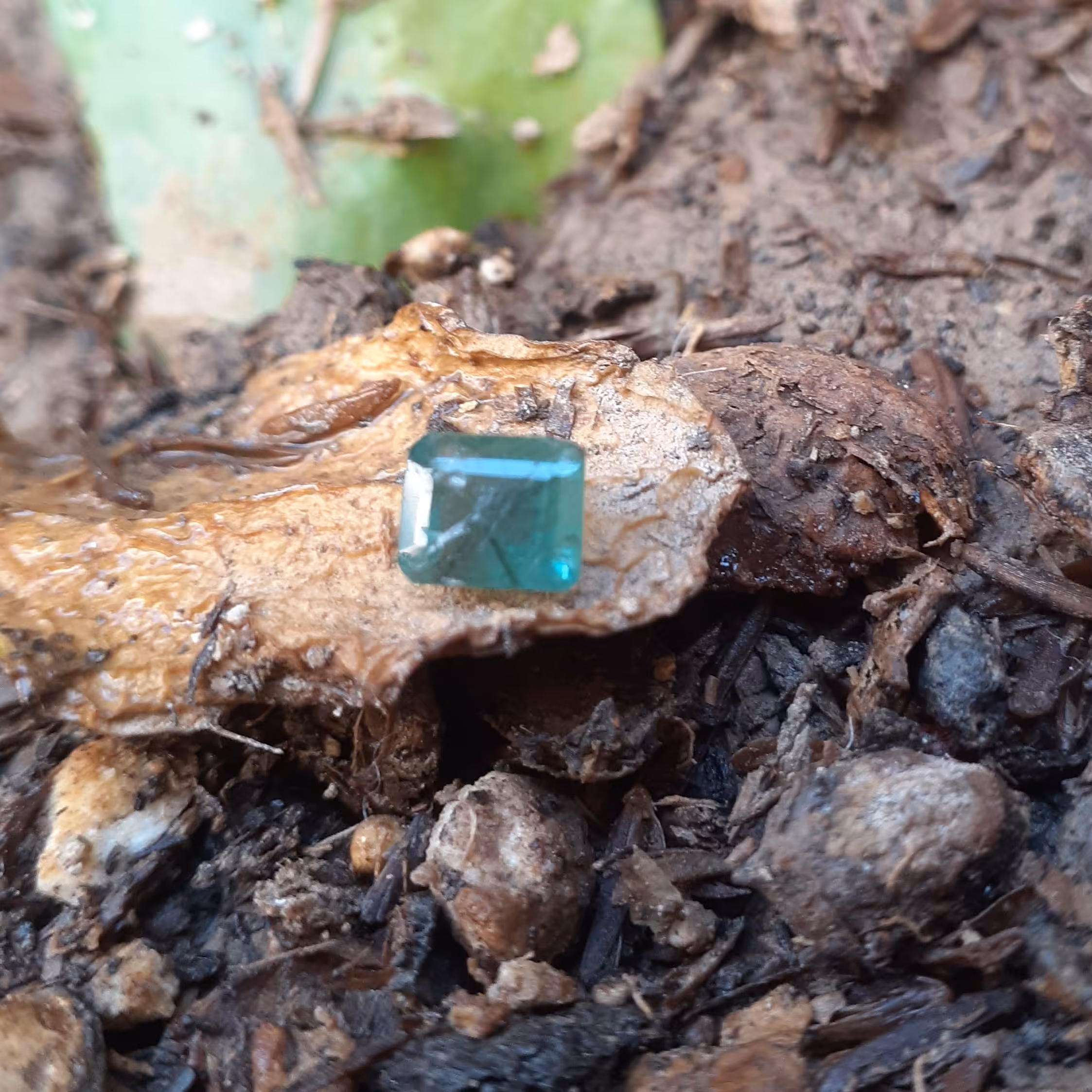 زمرد زامبیا درجه یک با وزن1/25قیراط