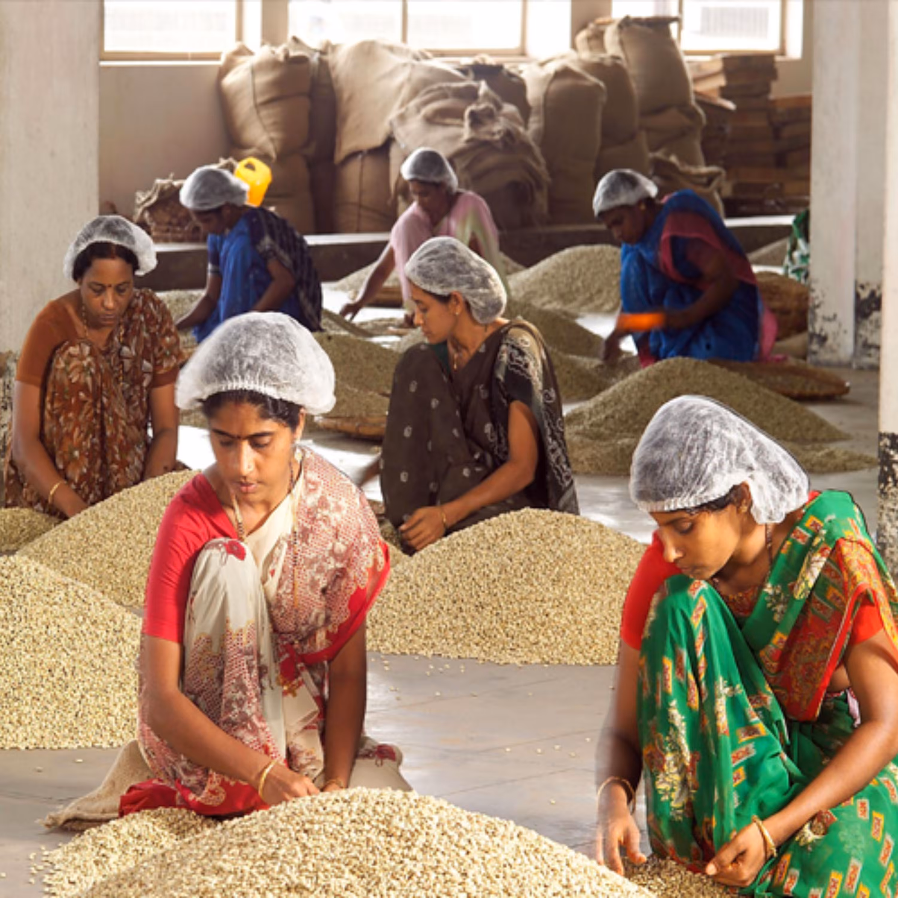 دان قهوه چری Cherry مدیوم رست 1000 گرمی