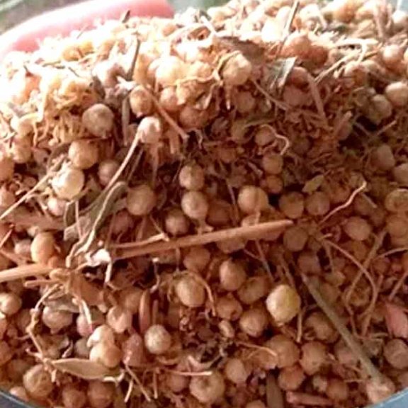 گیاه افتیمون 250 گرم رفع استرس ،عصبانیت ، مالیخولیا