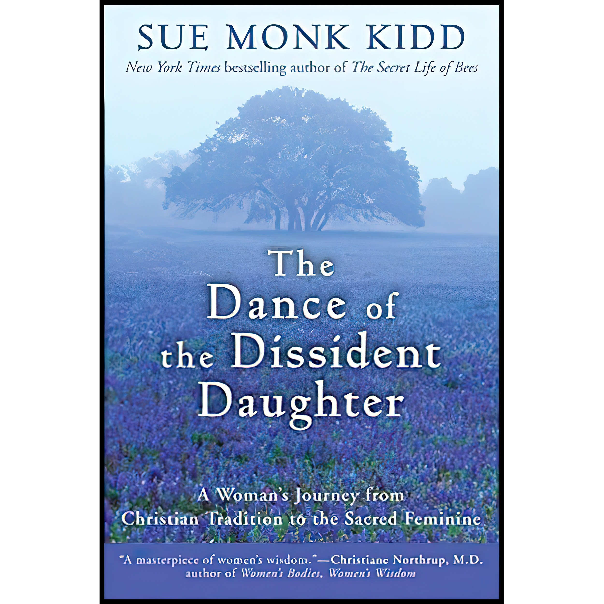 کتاب زبان اصلی The Dance of the Dissident Daughter اثر Sue Monk Kidd