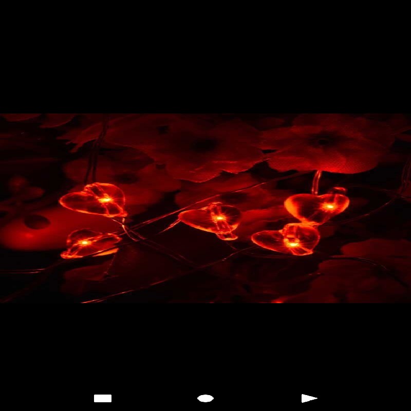 ریسه مفتولی قلب