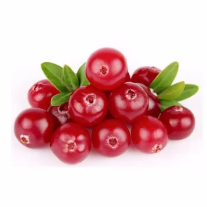 بذر گلدن رز (گیلا بری) 5 عددی 
