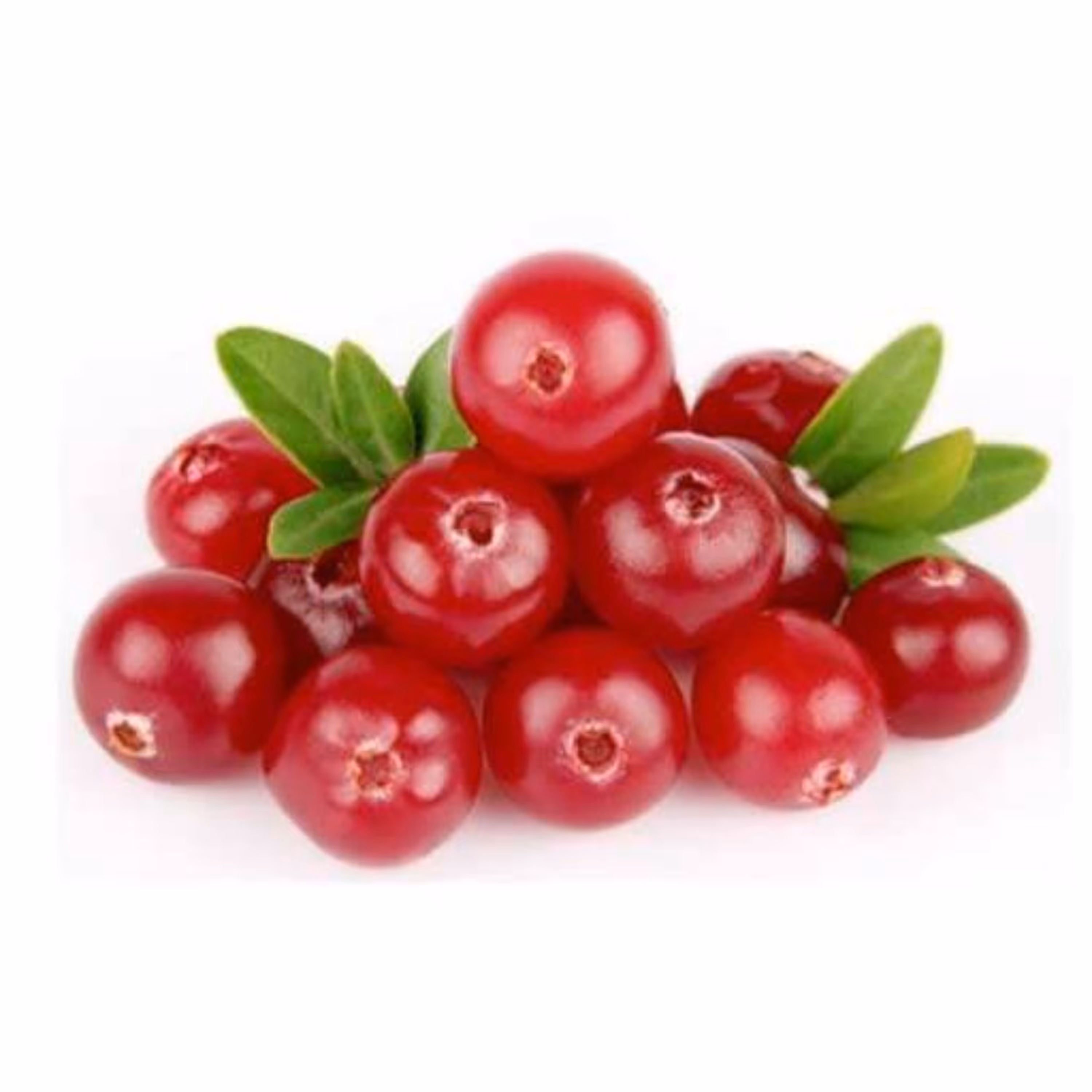 بذر گلدن رز (گیلا بری) 5 عددی 