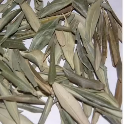 برگ زیتون خشک 200گرمی