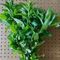 نعناع برگ خشک(100 گرمی)