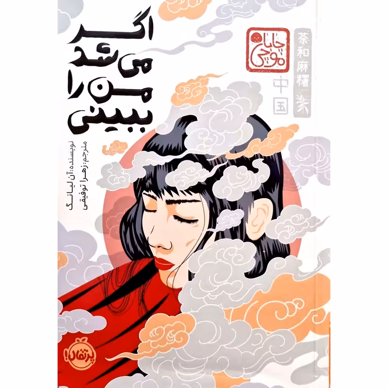 اگر می شد من را ببینی