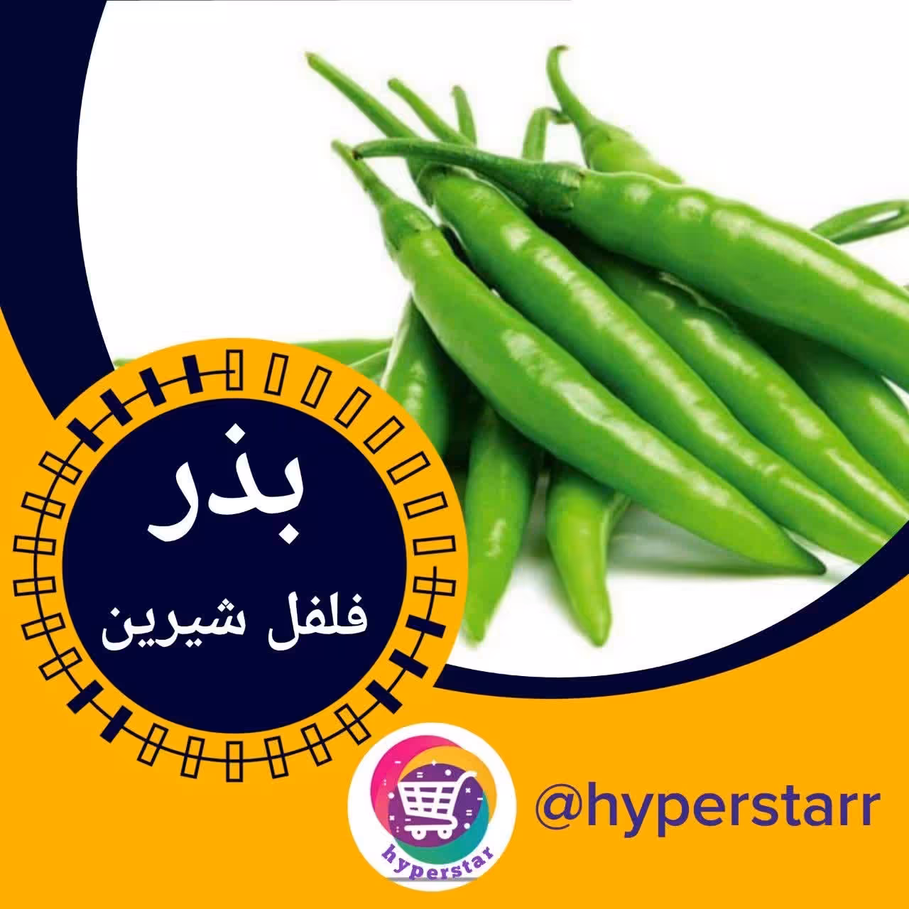 بذر فلفل شیرین 