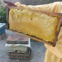 عسل سبلان سرعین (نه نه کوکب)
