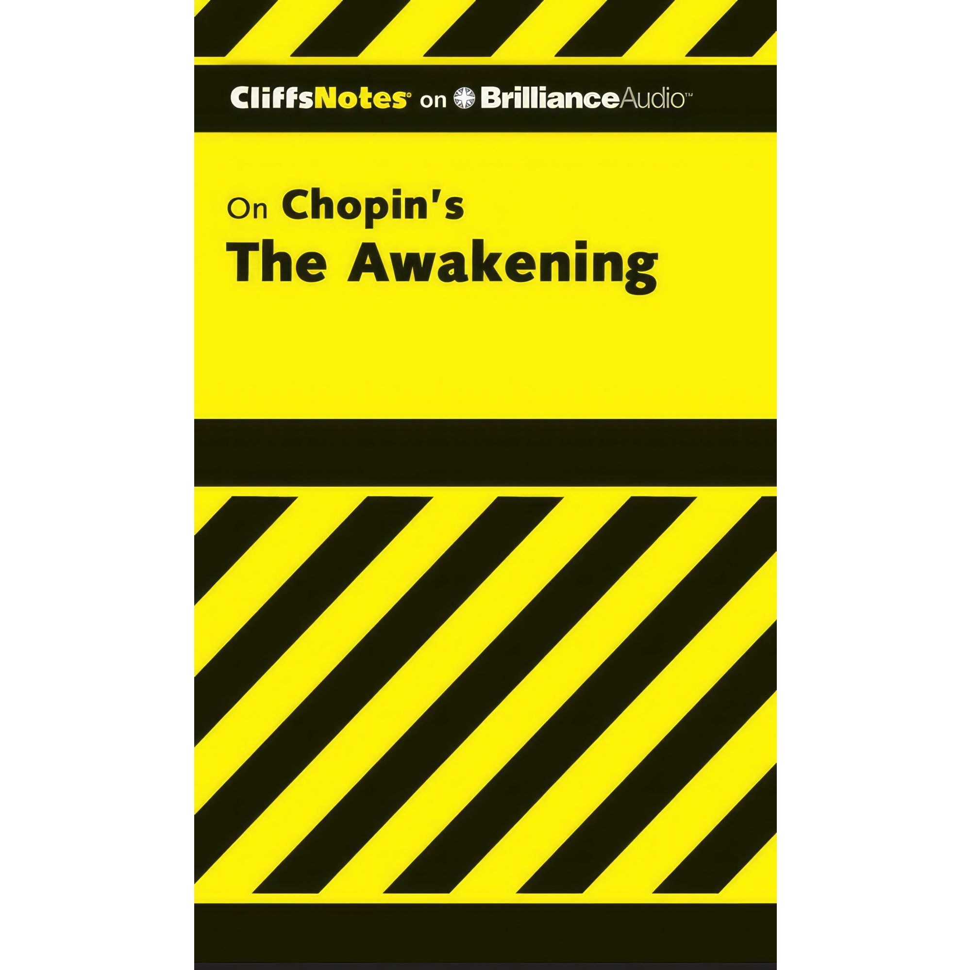 کتاب زبان اصلی The Awakening Cliffs Notes Series