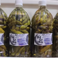 خیارشور های خوش طعم