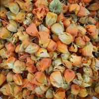 عروسک (عروس پشت پرده - فیسالیس - کاکنج) - 1 کیلو