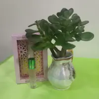 عطر طبیعی گل محمدی برکات(4گرمی)