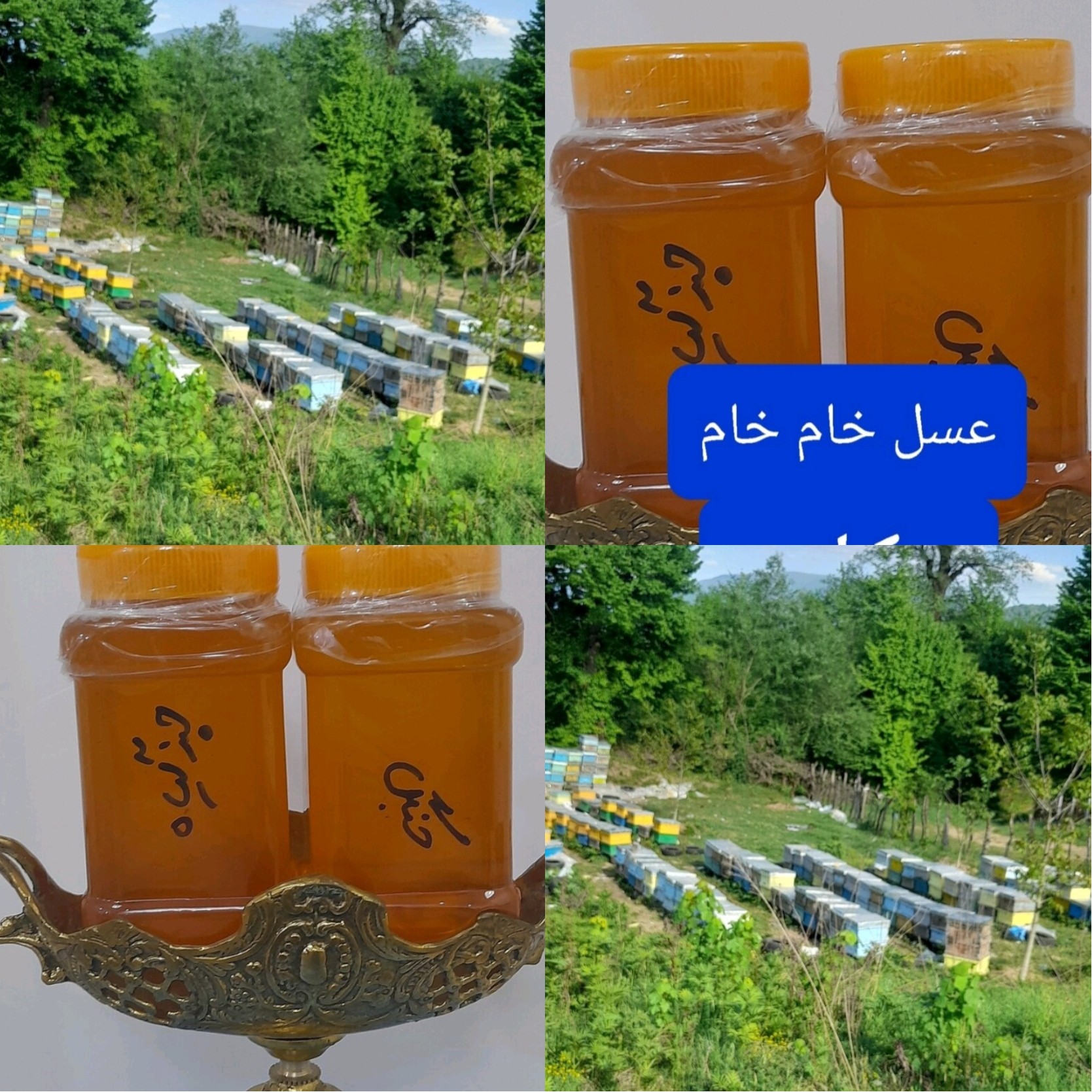 عسل طبیعی خام خالص زنده تضمینی با برگه ی آزمایش بدون یک گرم شکر با عطر و طعم واقعی و عالی برای دیابتی ها و کاهش کلسترول