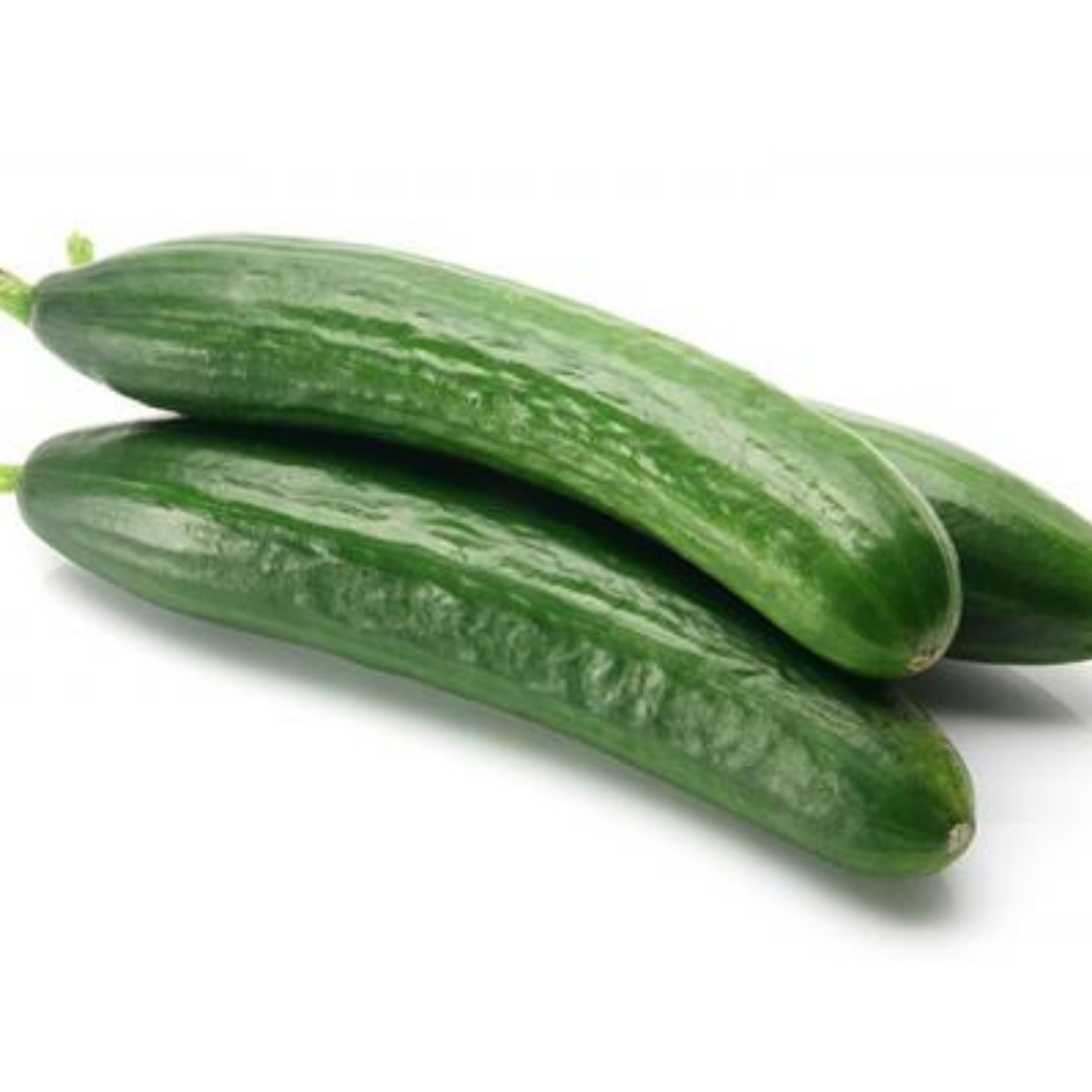 خیار اصلاحی یک کیلویی 