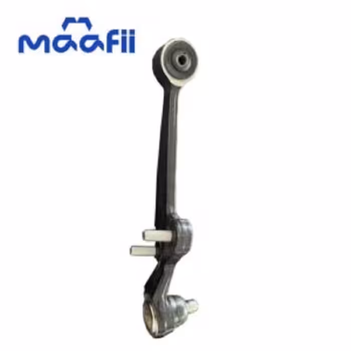 طبق سمت چپ تیبا-ریو امیرنیا 