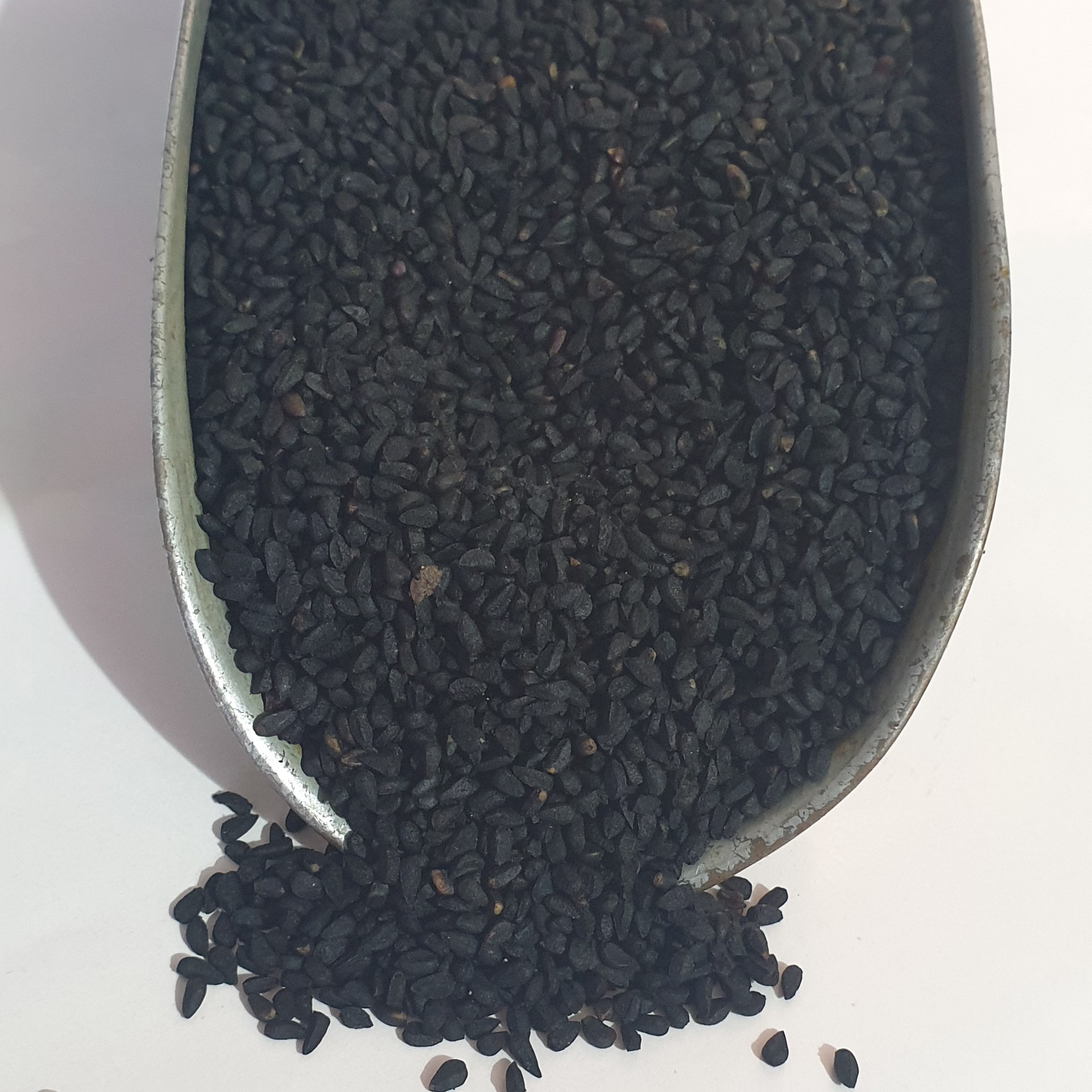 سیاه دانه