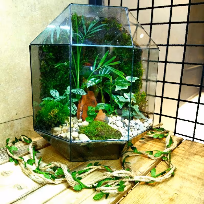 تراریوم موساریوم