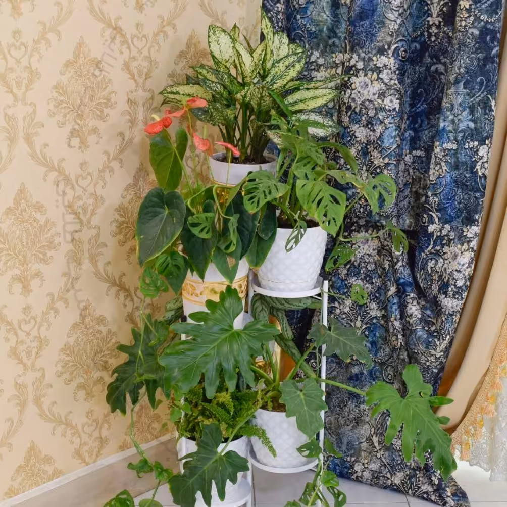 استند پایه گلدان فلک الافلاک 6 عددی مینی تاشو