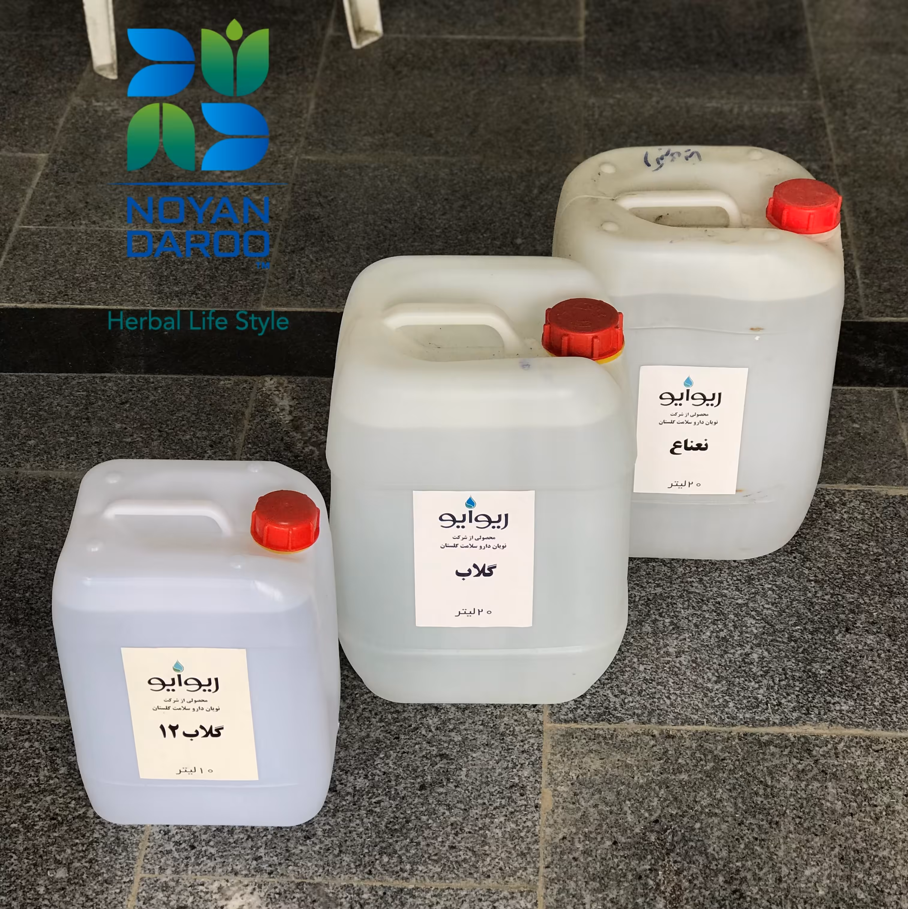 گلاب درجه 2(12)