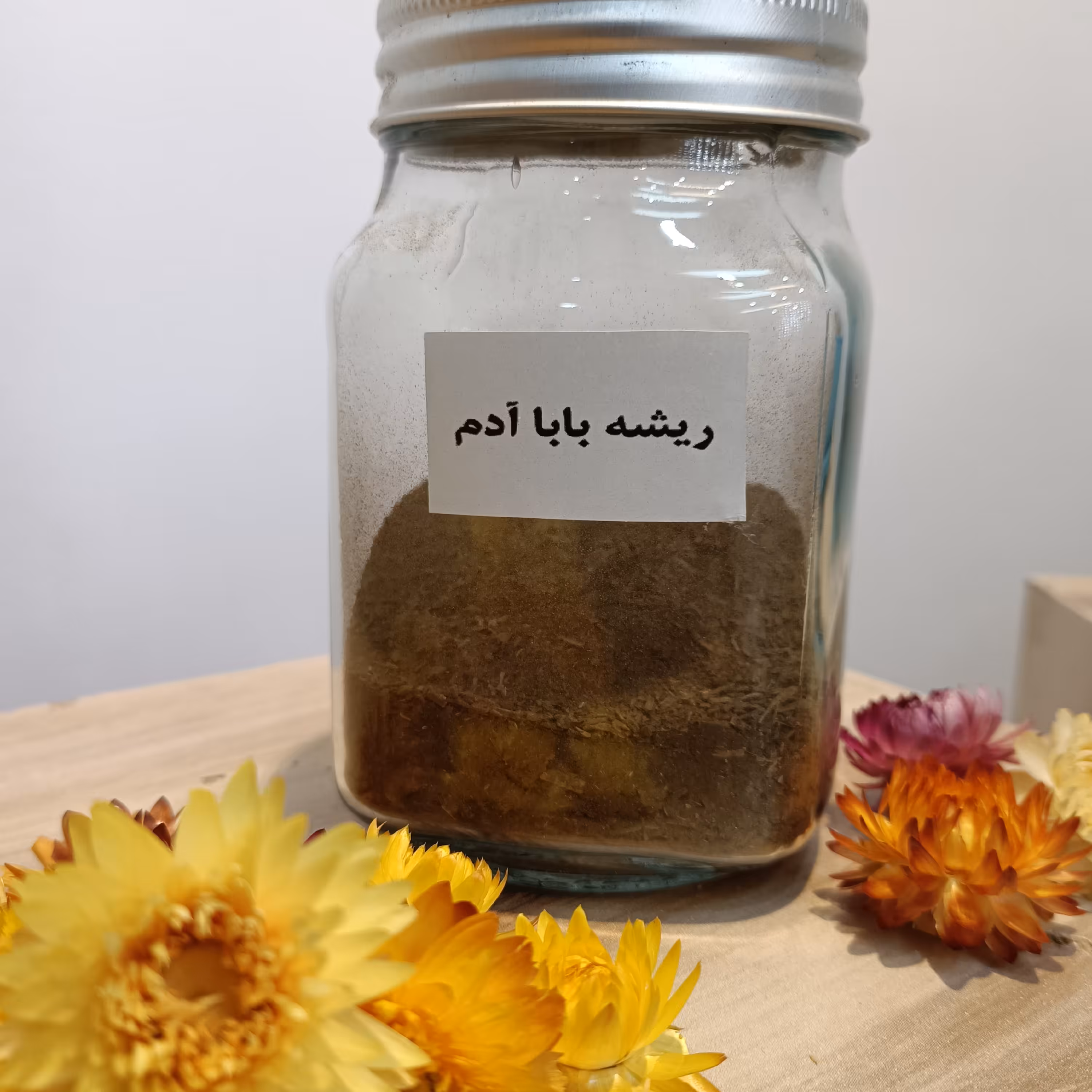 گیاه ریشه باباآدم کیفیت عالی (فیلگوش، آراقیطون) 100 گرمی