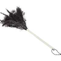 گردگیر پر شتر مرغ