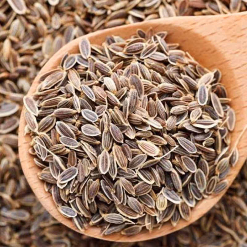 بذر شوید در بسته بندی(25گرمی)قیمت باسلام زاوه