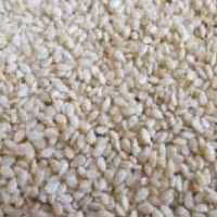 کنجد سفید 1 کیلو یک کیلو