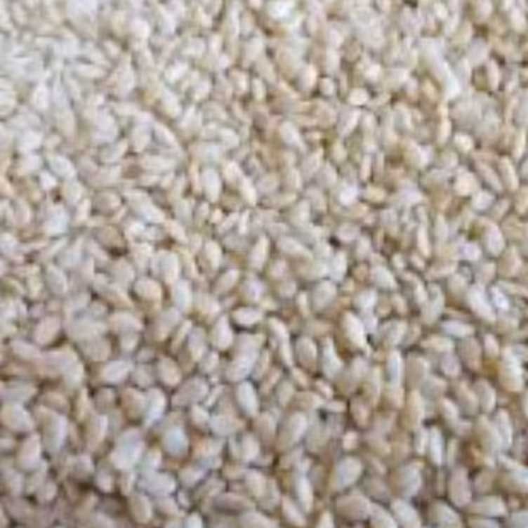 کنجد سفید 1 کیلو یک کیلو