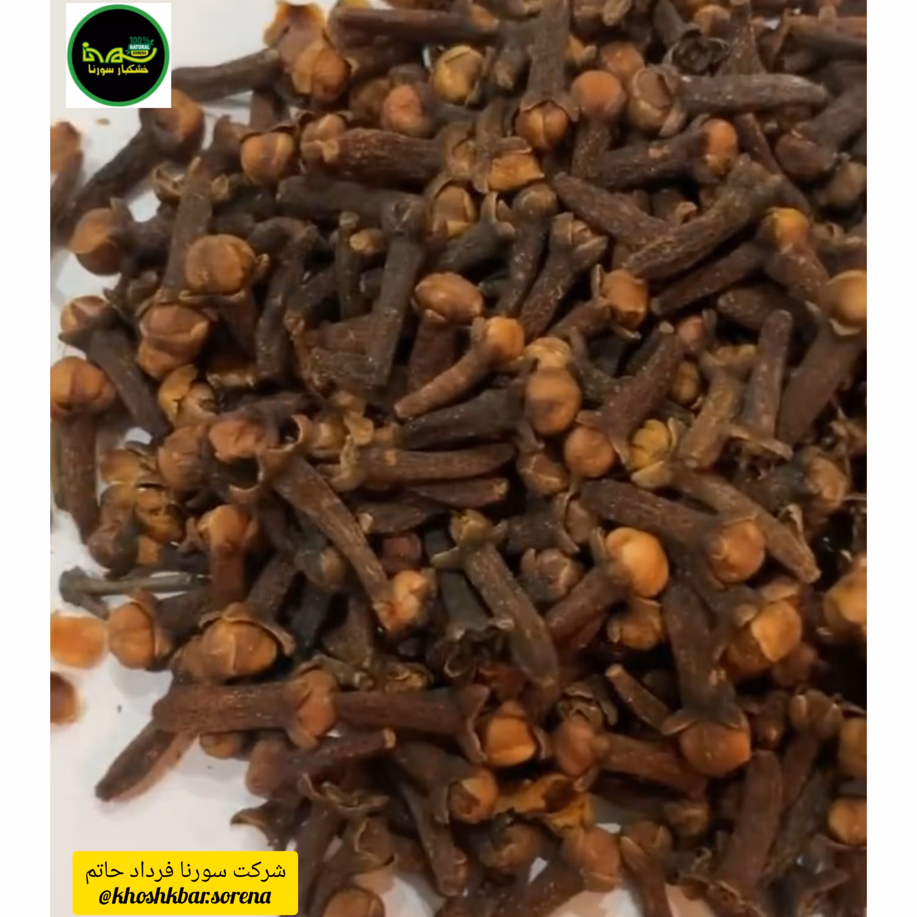 گل میخک قلم درشت درجه یک در بسته بندی 225 گرمی