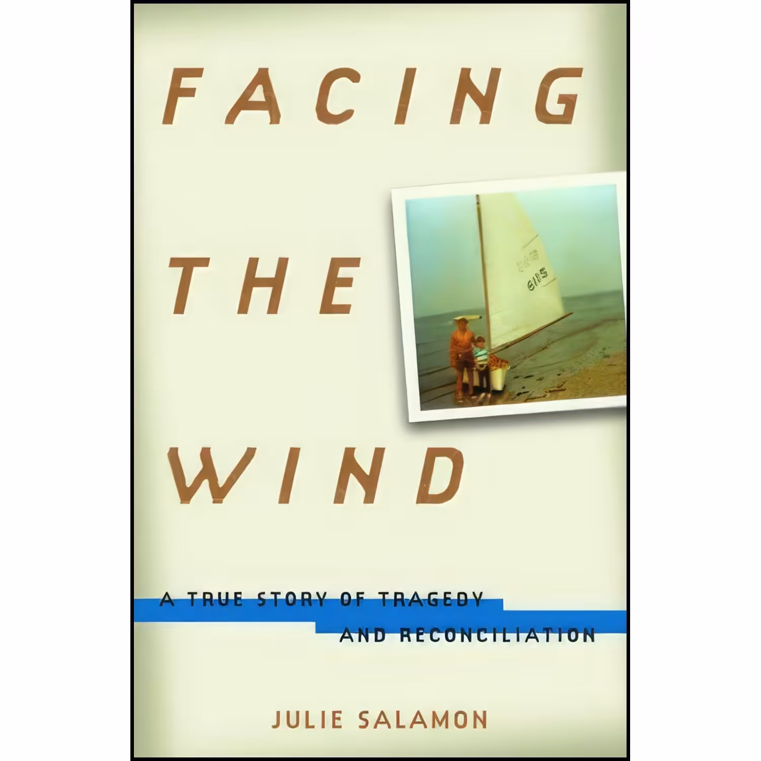 کتاب زبان اصلی Facing the Wind اثر Julie Salamon