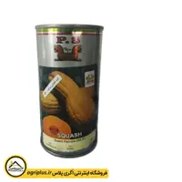 بذر کدو حلوایی بروجرد پاسارگاد