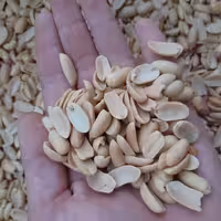 بادام زمینی مخصوص کره گیری 1 باربرشته شده محصول سال 1403،بادام ایرانی