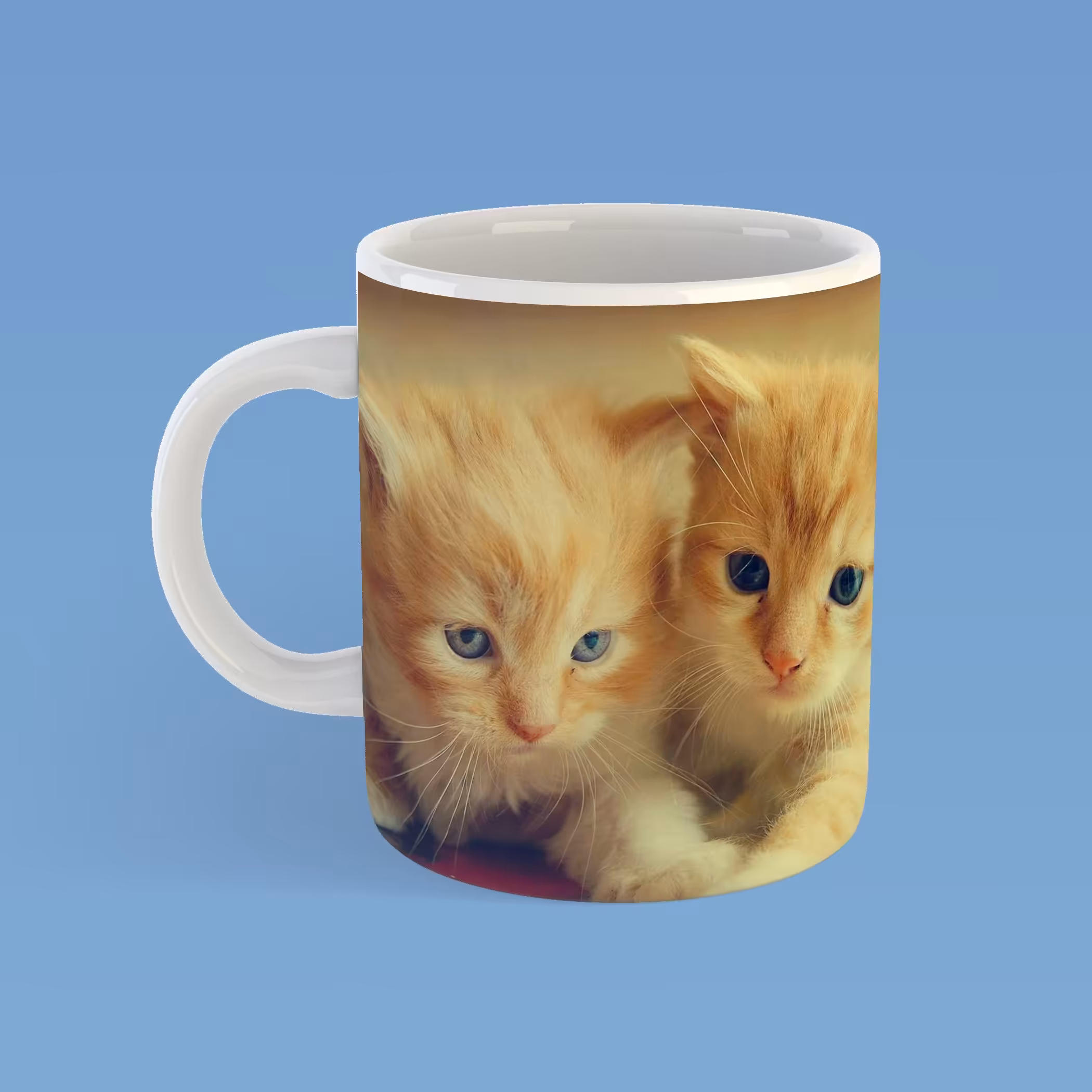 ماگ گربه ملوس کد063