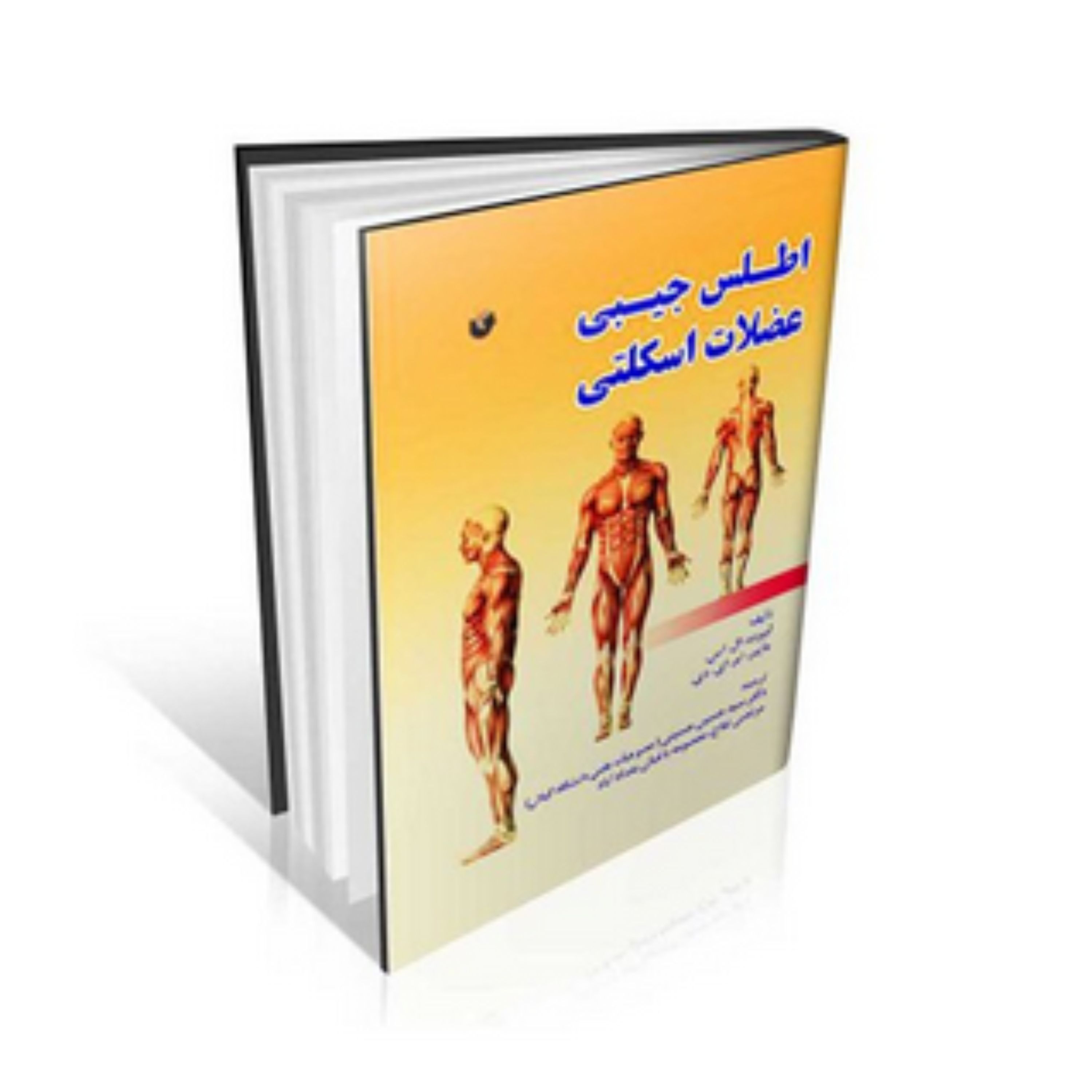 کتاب اطلس جیبی عضلات اسکلتی