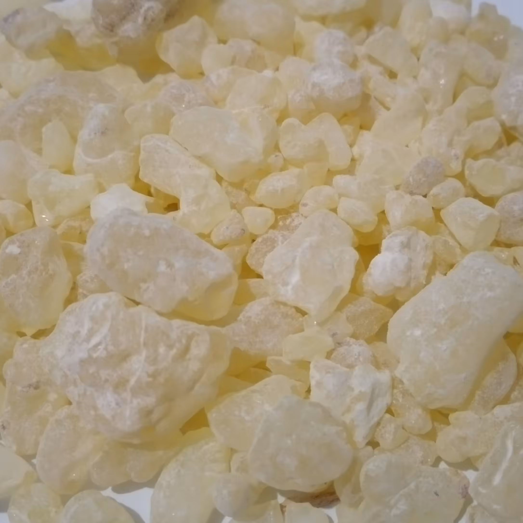 مصطکی  ترکی