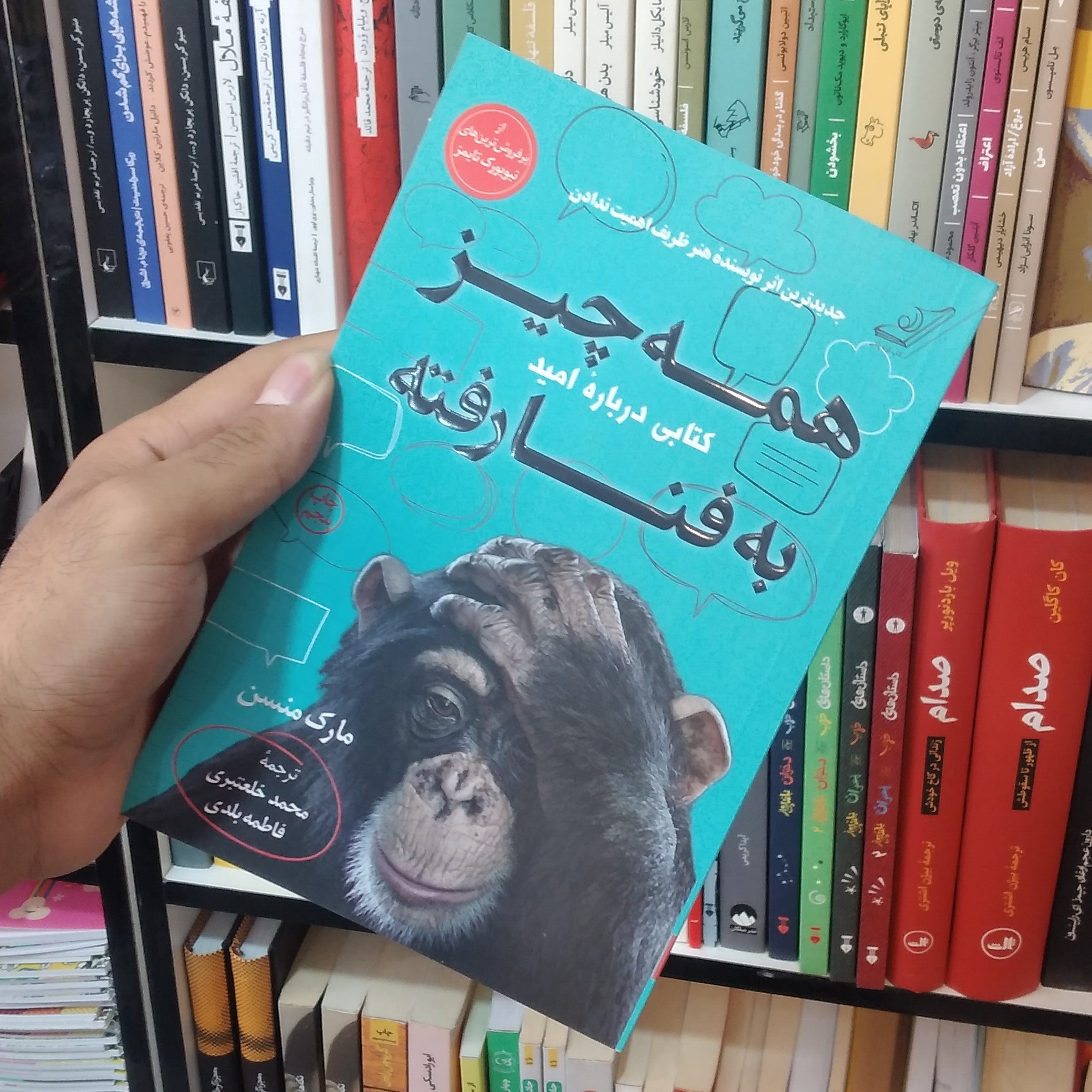 کتاب همه چیز به فنا رفته