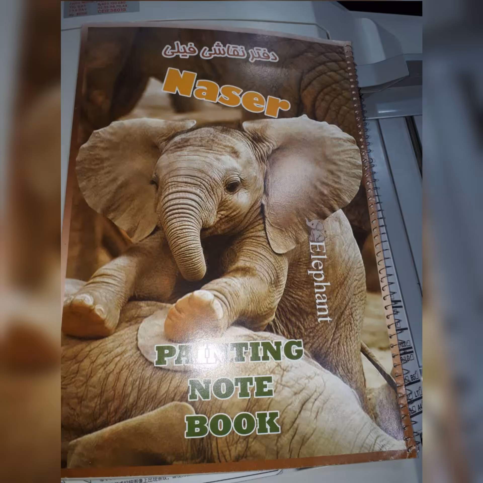 دفتر نقاشی فیلی